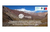 Protegiendo la Biodiversidad y Múl3ples Servicios ...gefmontana.cl/descargas/4-Presetacion-GEF-alcaldes.pdf · biodiveridad. • Seminario de difusión de resultados e intercambio