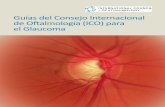 Guías del Consejo Internacional de Oftalmología (ICO) para el ......Esta es la primera edición de las Guías Clínicas del Consejo Internacional de Oftalmología (ICO) para el Glaucoma