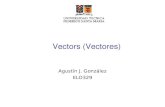 Vectors (Vectores)profesores.elo.utfsm.cl/~agv/elo329/1s10/lectures/C++/vectors.pdf · Title: Vectors (Vectores) Created Date: 6/22/2010 7:24:15 PM