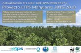 Actualización Yr1 Q3+: GEF-IW5 PMIS #5771 Proyecto ETPS ... reunion/Presentaciones...Proyecto ETPS Manglares 2016-2018 Actualización Yr1 Q3+: GEF-IW5 PMIS #5771 “Mejoras en la