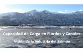 Capacidad de Carga en Fiordos y Canales - MMA · 2019. 4. 5. · Principios La industria debe operar dentro de límites sustentables de producción (i.e., capacidad de carga; principales