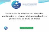 Presentación de PowerPoint - MITTICmittic.gobex.es/upload/web/publico/08_uid2... · postcosecha de fruta de hueso . Centro de Investigaciones Científicas y Tecnológicas de Extremadura