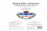 BOLETÍN OFICIALboletinoficial.jujuy.gob.ar/wp-content/uploads/... · Agosto, 26 de 2020.- Boletín Oficial Nº 102 789 Provincia de JUJUY Unidos, Responsables y Solidarios ARTICULO