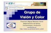 Grupo de Visión y Color - COnnecting REpositories · Visión funcional y envejecimiento Entrenamiento visual Movimientos oculares, ojo - mano, color, etc Ajuste ergonómico de pantallas