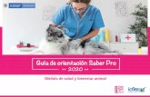 Guía de orientación Saber Pro - ICFESde+orient… · profesional relacionada con el abordaje holístico de la salud animal, con base en ... Reconoce los factores causantes y asociados