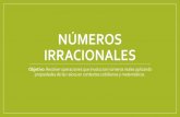 NÚMEROS IRRACIONALES · Los elementos del conjunto ℤ= {…,-2, -1, 0, 1, 2,…} se denominan “Números Enteros Los números racionales son todos aquellos números de la forma