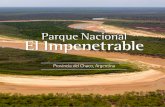 Parque Nacional El Impenetrable · del Chaco, a lo largo del río Bermejo, y su gran extensión permite albergar grandes mamíferos, entre ellos al emblemático yaguareté. 1.1 Parque
