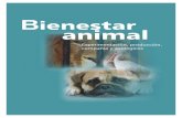 Bienestar Animal: experimentación, · Bienestar Animal 1 Indice Bienestar animal: concepto y valoración 3 Bases científicas para la determinación del sufrimiento en animales 9