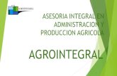 AGROINTEGRAL · nuestro servicio ¾ diagnostico y analisis de ineficiencias en sistemas de produccion agricola ¾ generacion y contruccion de estrategias para correccion de ineficiencias