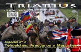 Editorial - fuerzasmilitares.org · Bandera mapuche adoptada en 1991; principal símbolo del movimiento autonomista mapuche, en Chile (principalmente) y Argentina. Una de las organizaciones
