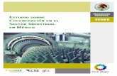 Estudio sobre Cogeneración · Estudio sobre Cogeneración en el Sector Industrial en México La Comisión Nacional para el Uso Eficiente de la Energía (CONUEE) y la Comisión Reguladora