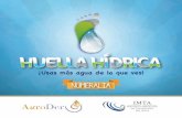 HUELLA HÍDRICA - AgroDer Numeralia - AgroDer_Imta.pdf¿En qué utilizamos tanta agua? La huella hídrica promedio de una persona es de 1,385 m3 /año (1,385,000 litros) Para producir