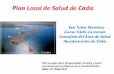 Plan Local de Salud de Cádiz - fadsp Local de Salud.pdf · Estado actual Plan Local de Salud de Cádiz •Perfil de Salud editado •Presentación en el barrio •Jornada priorización