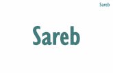 Sareb - WordPress.com€¦ · gestión y comercialización que atenderá la diferente naturaleza de los ... financieras del Grupo 1 y Grupo 2 y enajenarlos • Nace con la misión