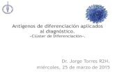 Antígenos de diferenciación aplicados al diagnóstico.incan-mexico.org/wp_hematologia/wp-content/uploads/... · Antígenos de diferenciación aplicados al diagnóstico. «Clúster