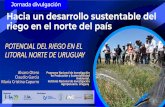 POTENCIAL DEL RIEGO EN EL LITORAL NORTE DE URUGUAYinia.uy/Documentos/Públicos/INIA Salto Grande/2019... · Infiltración promedio y variabilidad en el terreno López y Otero, 2010.