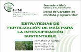 Estrategias de fertilización de maíz para la ...lacs.ipni.net/ipniweb/region/lacs.nsf/0...0 20 40 60 80 100 120 140 160 180 200 220 N disponible (suelo + fertilizante) en kg/ha Rendimiento