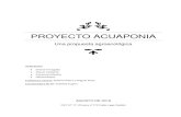 proyecto acuaponia - educacion.rionegro.gov.ar PP... · Nuestro proyecto tecnológico se define Acuaponia, que es la actividad combinada del cultivo intensivo de peces con el cultivo