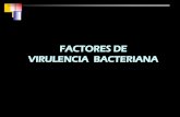 FACTORES DE VIRULENCIA BACTERIANA - UNAMdepa.fquim.unam.mx/bacteriologia/s20192/pres2vir.pdfFACTORES DE VIRULENCIA BACTERIANA . Moléculas que sustentan la invasividad bacteriana Sustancias