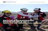 REPORTE DESARROLLO SUSTENTABLE 2011 UNIDAD .../media/Files/A/Anglo...En el Reporte de Desarrollo Sustentable 2011, están contenidas las cinco operaciones que tiene la empresa en Chile: