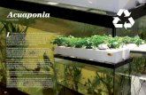 Acuaponia - blog.medicalseeds.net€¦ · a Acuaponia es la actividad que conjunta una producción de peces y plantas de valor comercial en un sistema de recirculación de agua (Acuacultura