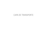 CAPA DE TRANSPORTEmaterias.fi.uba.ar/7543/dl/Capa_Transporte.pdf · transferencia de hipertexto (HTTP) el Protocolo de Transferencia de Archivos (FTP) y el Simple Mail Transfer Protocol