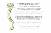 UNIVERSIDAD NACIONAL AGRARIA, MANAGUAcenida.una.edu.ni/Tesis/tnp10a283.pdf · 2019. 3. 21. · Noguera, como requisito parcial para optar al grado académico de Maestro en Ciencias