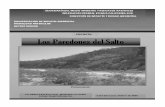 Los Paredones del Saltosinat.semarnat.gob.mx/dgiraDocs/documentos/bcs/e... · El arroyo de El Salto es una de las corrientes tributarias mas importante de las que cuenta el arroyo