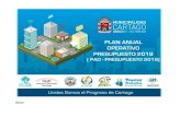 ÍNDICE - Cartago...9.1.modelo de gestion gerencial municipal para resultados- gobierno abierto ... pao-presupuesto 2019 por programa .....151 10.1. plan anaul operativo –presupuesto