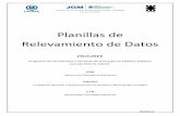 Planillas de Relevamiento de Datos - Argentina.gob.ar · Planillas de Relevamiento de Datos PROUREE Programa de Uso Racional y Eficiente de la Energía en Edificios Públicos Decreto