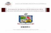 Presupuesto de Egresos de la Federación 2010 · 2010. 10. 6. · Presupuesto de Egresos de la Federación 2010 (P EF 2010) para el Estado de Nuevo León, de conformidad con lo aprobado