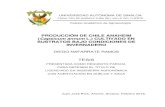PRODUCCIÓN DE CHILE ANAHEIM Capsicum annum L.) … · facultad de agricultura del valle del fuerte cuerpo académico de agroecología producciÓn de chile anaheim (capsicum annum