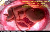 Presentación de PowerPoint · El Aborto en el Mundo •En 54 países (el 61% de la pob. del mundo) los abortos son legales. •Aprox. 46 millones de niños son abortados cada año