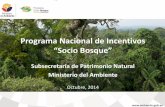 Programa Nacional de Incentivos€¦ · Vida Silvestre Bioseguridad y Biotecnología Investigación y Monitoreo Participación TICs Normativa . Programa Nacional de Incentivos Socio