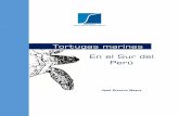Libro tortugas marinasmediomarino.freeoda.com/FEB_2015/Tortugas-marinas-sur-Peru-Pizarro.pdf“cabezona” y con menor frecuencia la tortuga “Galápagos” y “Carey”. Entre todas