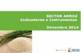 SECTOR ARROZ Indicadores e Instrumentos Diciembre 2014 · producción anual: $2.5 billones en términos de paddy verde y cerca de $4 billones a lo largo de la Cadena. • El 85% del