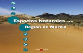 ESPACIOS NATURALES REGIÓN DE MURCIA...Autónoma de Murcia mediante decreto, confor-me al régimen que en el mismo se establezca, in- ... Monumentos Naturales: Espacios o elementos
