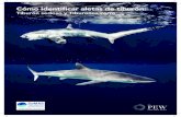 Tiburón sedoso y Tiburones zorro - The Pew Charitable Trusts · Los tiburones zorro se consideran la familia de tiburones más amenazada (Dulvy et al., 2014), con una disminución