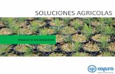 SOLUCIONES AGRICOLAS · 2019. 7. 5. · contenedores de CAPSA se diseñan con un enfoque de optimización de uso de superficie, desarrollo de sistema radicular, producción de planta