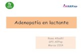 Adenopatía en lactante - AEPap · Adenopatía en lactante Rosa Albañil GPI AEPap Marzo 2014 • Niña de 6 meses • MC: Bulto cervical 3 cm, evolución días • Hª: –Afebril