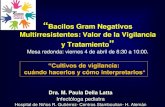 Bacilos Gram Negativos Multirresistentes: Valor de la Vigilancia y … presentaciones/Della... · Infecciones hospitalarias por bacilos gram negativos multirresistentes (BGNMR) •
