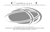Concepto y tipos de CAPITULO · 2011. 11. 18. · CAPITULO 1 13 C A P I T U L O 1 Concepto y tipos de grupo; caracterización de los grupos escolares TEMAS Y SUBTEMAS: 1.1 El estudio