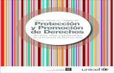Temas claves en materia de Protección y Promoción de Derechos · Temas claves en materia de en la Provincia de Buenos Aires Protección y Promoción de Derechos de niños, niñas