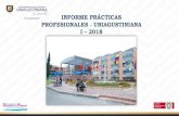INFORME PRÁCTICAS PROFESIONALES - UNIAGUSTINIANA I 2018eduvirtual.uniagustiniana.edu.co/adjuntosps/ADJUNTO5.pdf · 2018. 11. 20. · Titulo: Informe de prácticas profesionales I