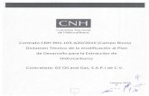 El portal único del gobierno. | gob.mx - Contrato CNH-R01-L03 … · 2019. 9. 13. · Comisión Nacional de Hidrocarburos Contrato CNH-R01-L03-A20/2016 (Campo Ricos) Dictamen Técnico