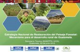 Estrategia Nacional de Restauración del Paisaje Forestal: … · 2015. 6. 11. · • Compromiso mundial firmado en Bonn, Alemania y lanzado en septiembre de 2011 por UICN, el gobierno