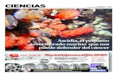 CIENCIAS - La Prensa Austral · 2016. 6. 19. · Ciencias El Magallanes, domingo 19 de junio de 2016 / 29 MEDICIONES GEOLEC DE CHILE LTDA., presente en forma ininterrumpida por 70