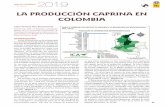 LA PRODUCCIÓN CAPRINA EN COLOMBIALa península de La Guajira es significativamente la región con mayor población de cabras en Colombia, allí habita principalmente el pueblo originario