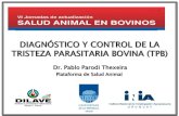 Plataforma de Salud Animalºblicos/INIA Tacuarembó... · Babesiosis, ocasionada por dos protozoarios Babesia bovisy Babesiabigemina Anaplasmosis, por una rickettsia, Anaplasmamarginale