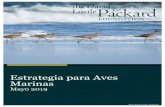 Marine Birds Strategy Spanish 5.24.19 · resultados, han sido dramáticos para las aves marinas y otras especies de flora y fauna, incluyendo aves playeras. Dado que las islas son